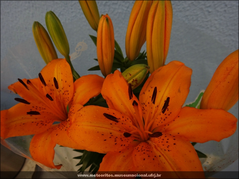 DSC00034.JPG
