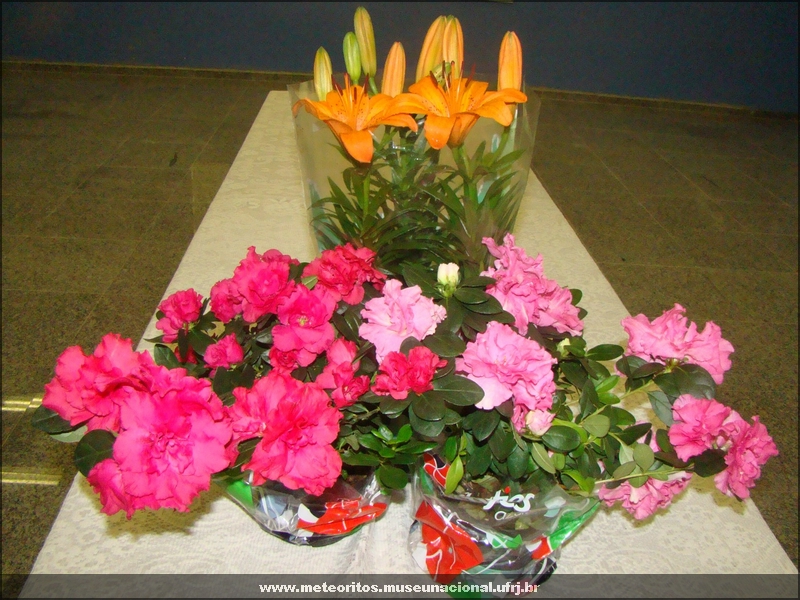 DSC03760.jpg