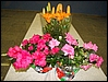 DSC03760.jpg