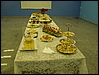 DSC03828.jpg