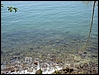 DSC04500.jpg