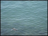 DSC04507.jpg